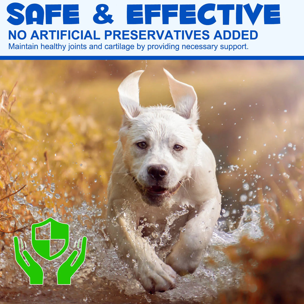 Joint Aid & Relief with Glucosamine for Dogs Promote Healthy Joints Reduce Inflammation Restore Cartilage Lubrication Resilience