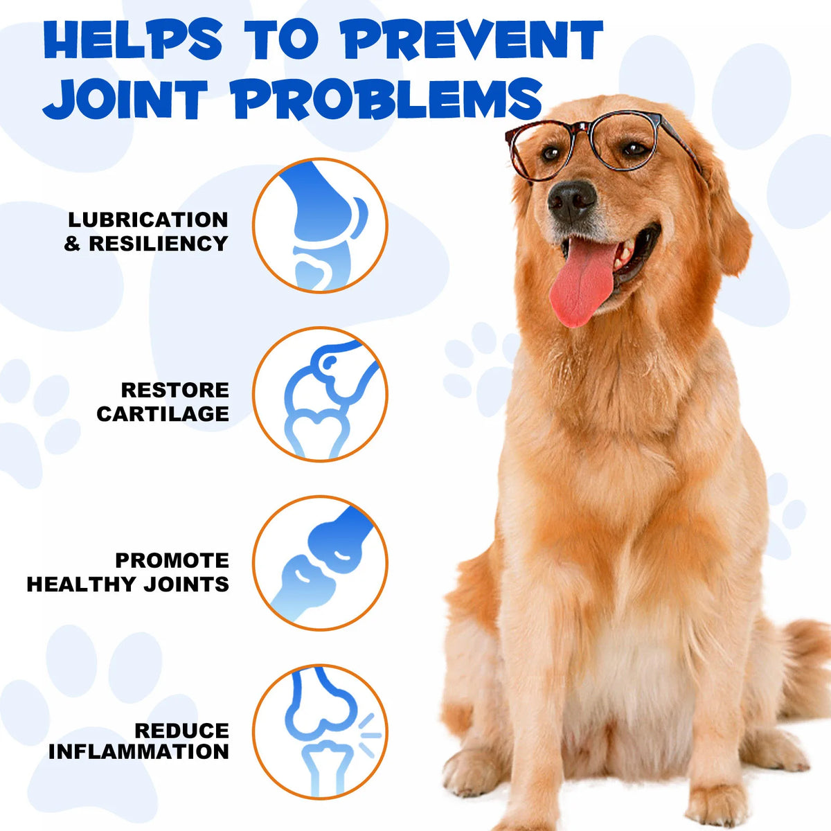 Joint Aid & Relief with Glucosamine for Dogs Promote Healthy Joints Reduce Inflammation Restore Cartilage Lubrication Resilience