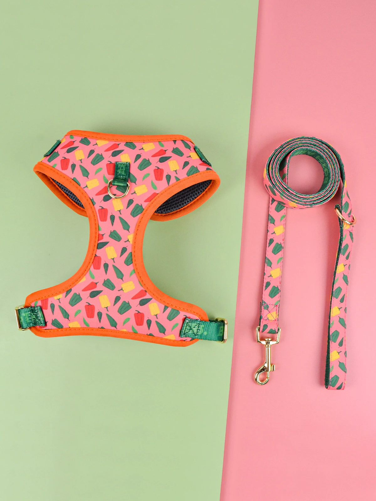 Cute Design Adjustable Luxury Designer Pet Harness &1 Pcs Color Matching Pet Dog Leashes