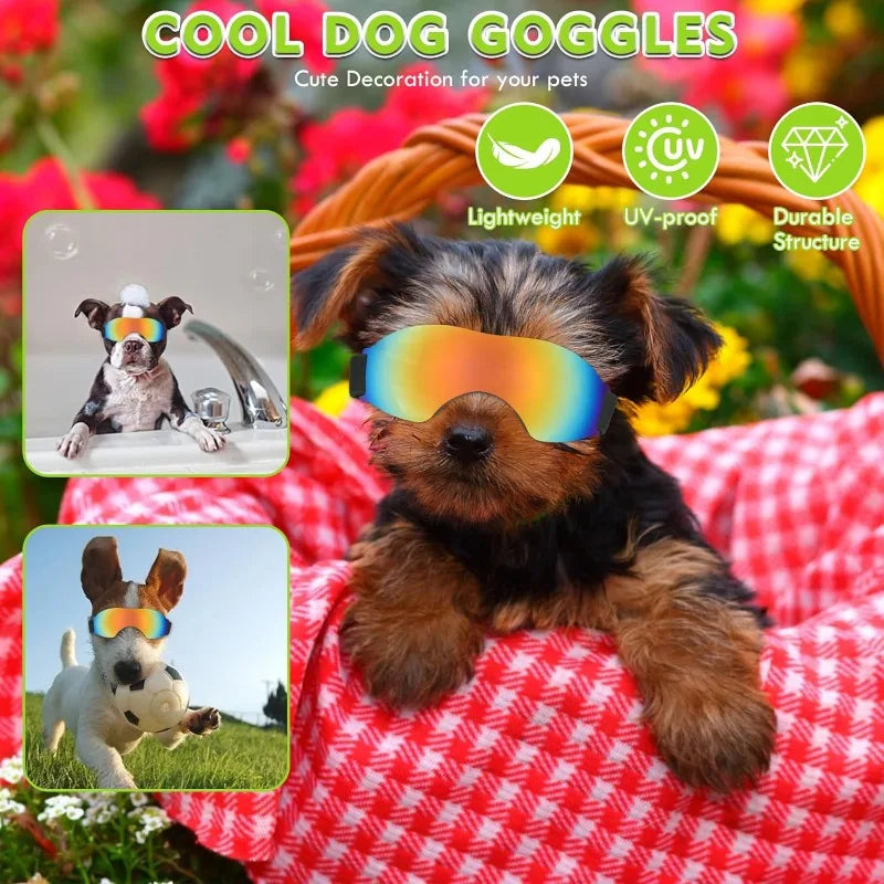 LETVIA Dogs Glasses Windproof Goggles for Large Medium Small Dogs Pet Motorcycle Sunglasses Fashionable Cool Pet Accessories