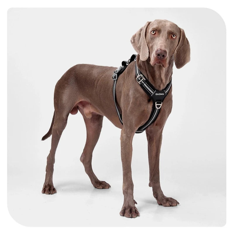 Anti Pull Dog Harness Leash Set Reflective Wear Resistant Soft Outdoor Walking Pet Chest Strap Fashion Safety Pet Supplies