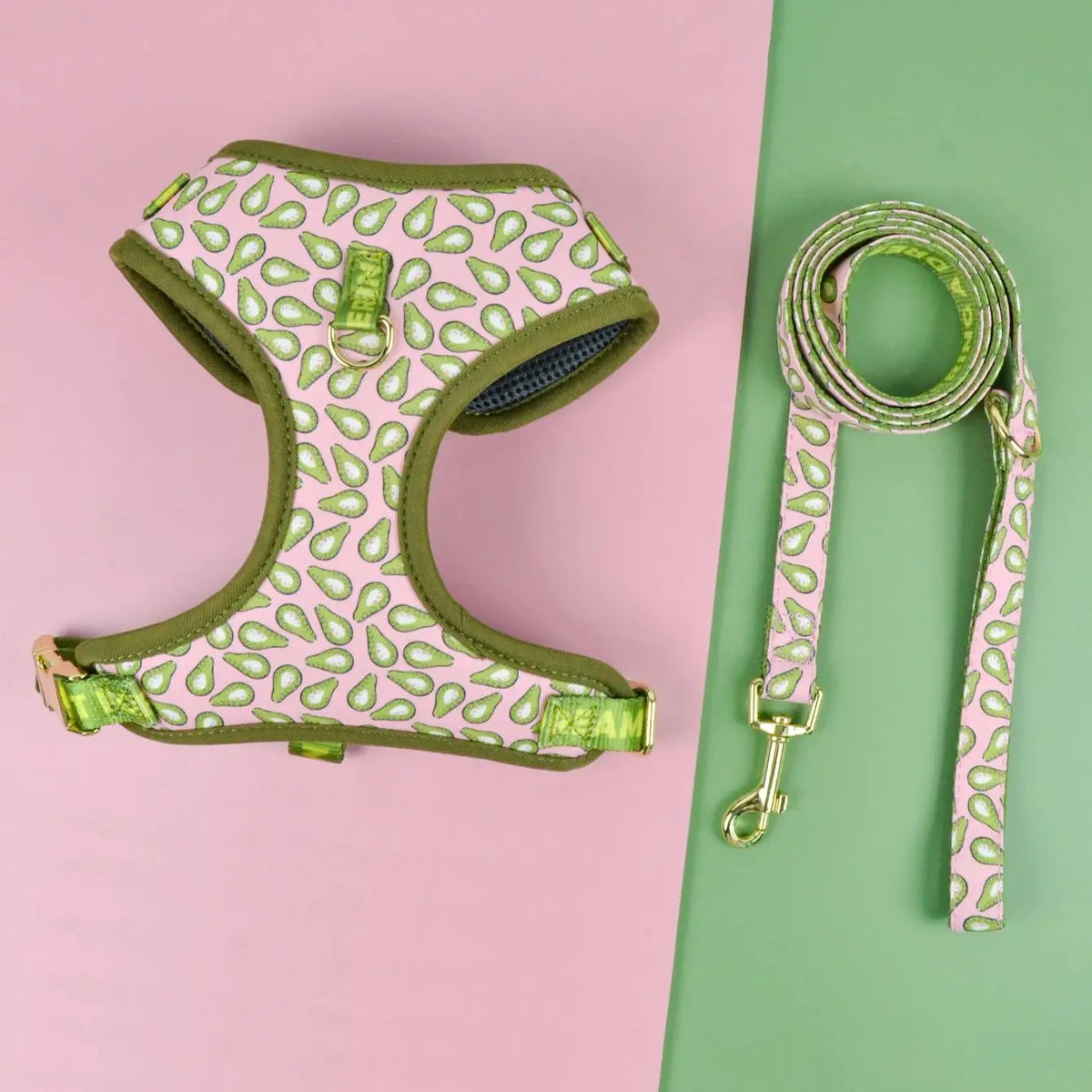 Cute Design Adjustable Luxury Designer Pet Harness &1 Pcs Color Matching Pet Dog Leashes