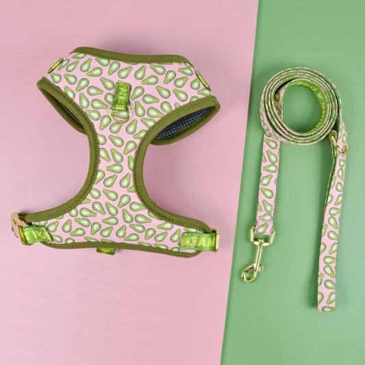 Cute Design Adjustable Luxury Designer Pet Harness &1 Pcs Color Matching Pet Dog Leashes