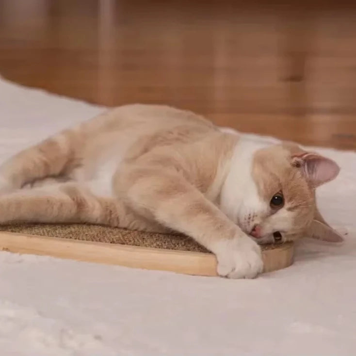 Cat Scratching Board Hanging Wall Wear-resistant Sisal Sharpening Claw Cat Supplies Pet Accessories Pet Accessories
